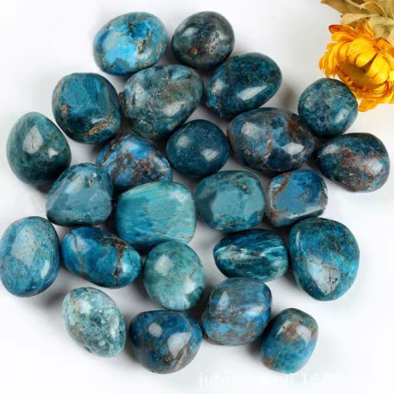 Apatite blue-green tumble stone for motivation and learning