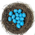 Blue Turquoise crystal egg for protection, communication, and spiritual alignment