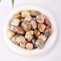 Crazy Lace Agate tumble stone with vibrant patterns for joy and vitality